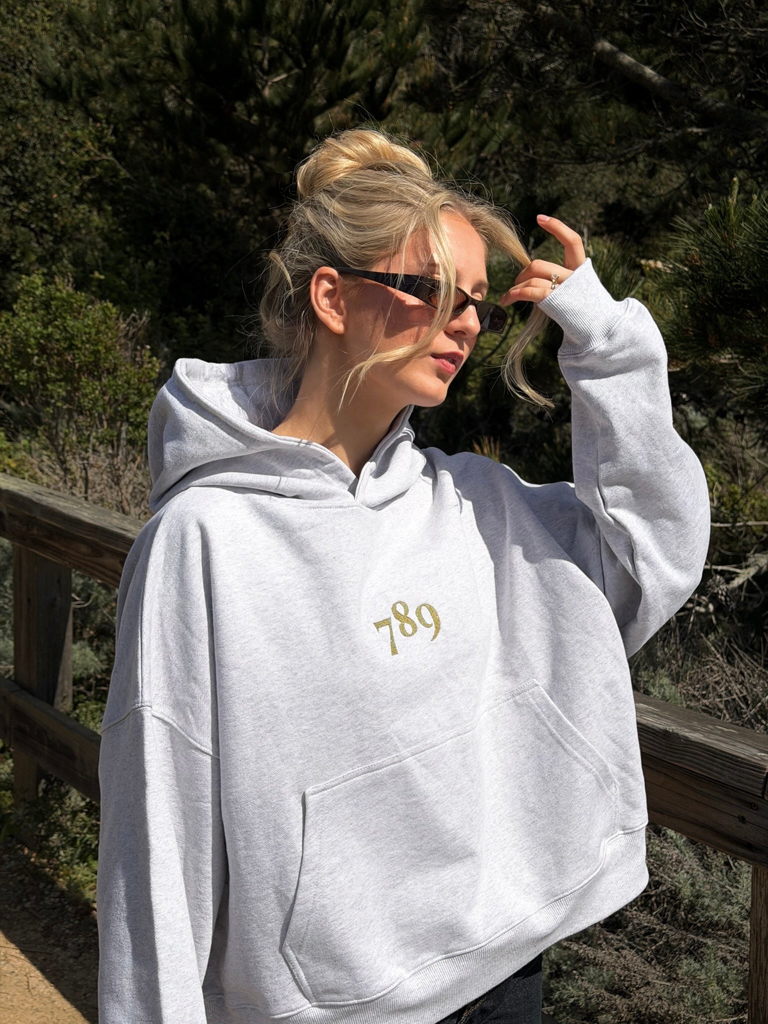 PSALM 27 HOODIE